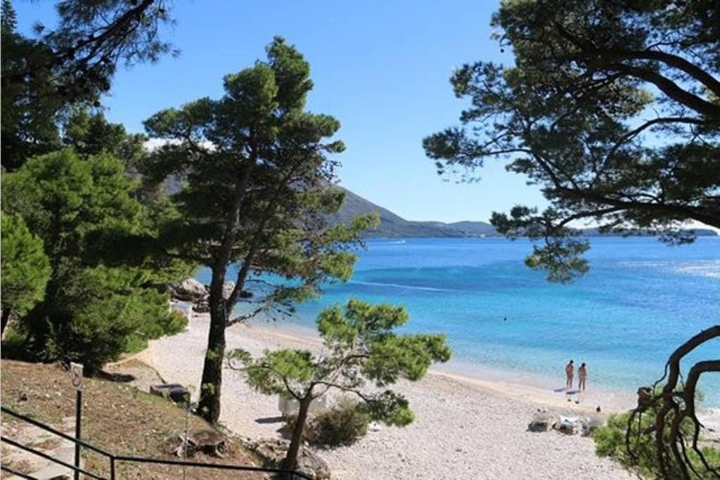 Apartman Near Fazana-500 From The Sea Esterno foto